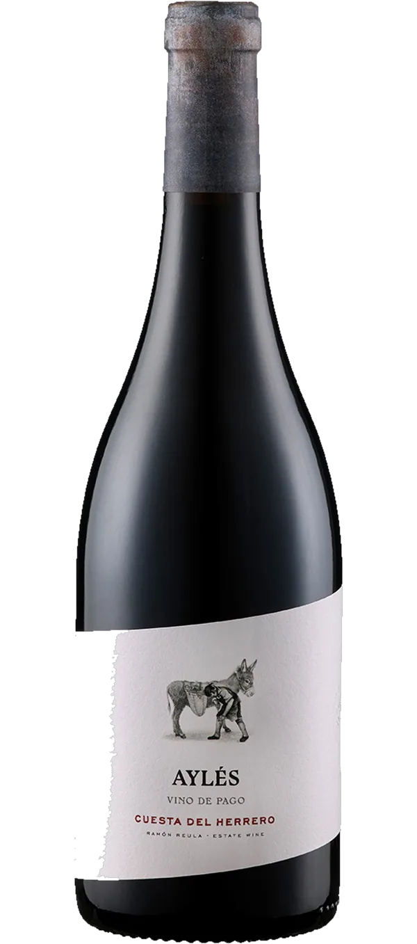 Bodega Pago de Ayles - Cuesta del Herrero - Vino de Pago - Bio