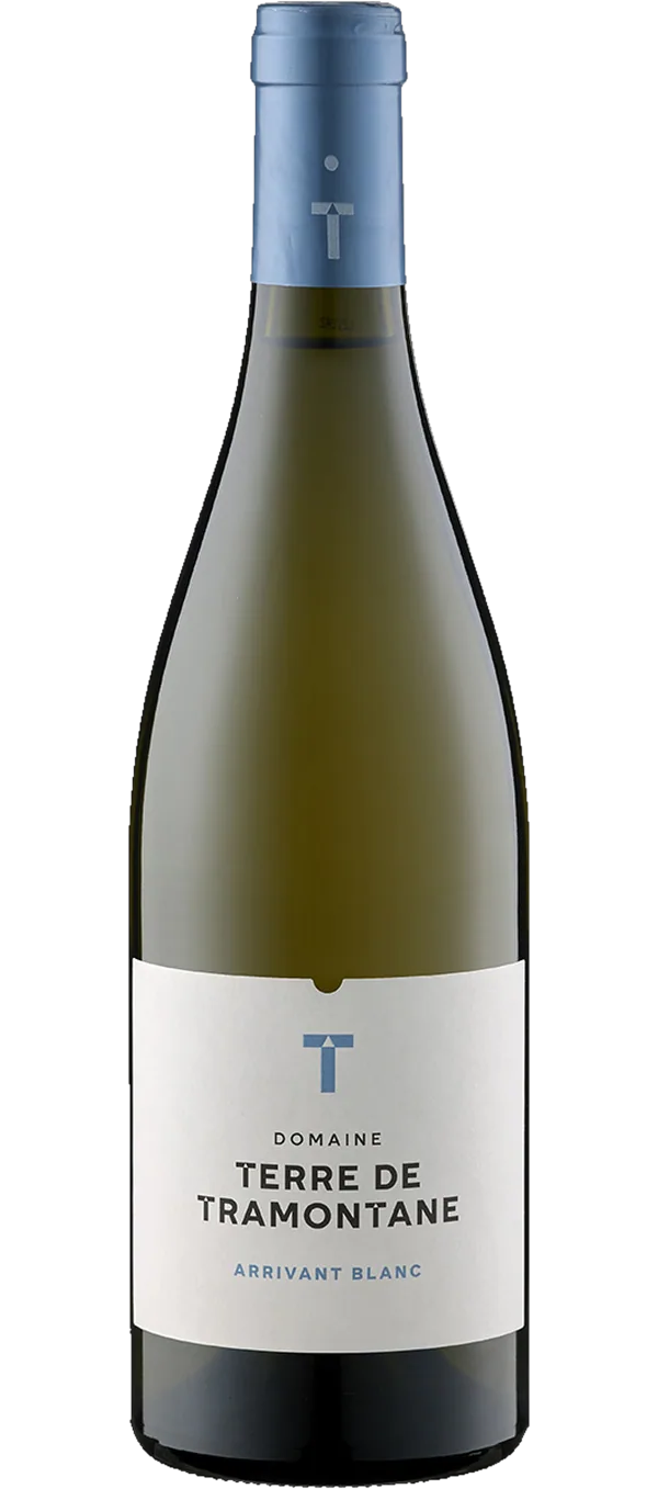 Domaine Terre de Tramontane -  Arrivant Blanc AOP - Bio
