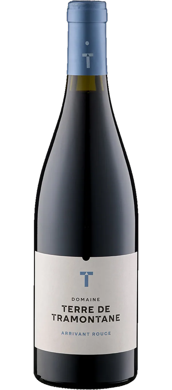 Domaine Terre de Tramontane - Arrivant Rouge AOP - Bio