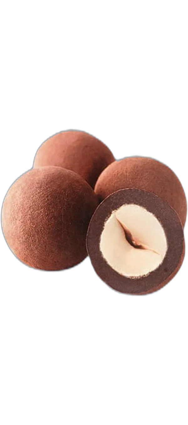 Bombons Cudié - Catànies Avellana Hazelnut