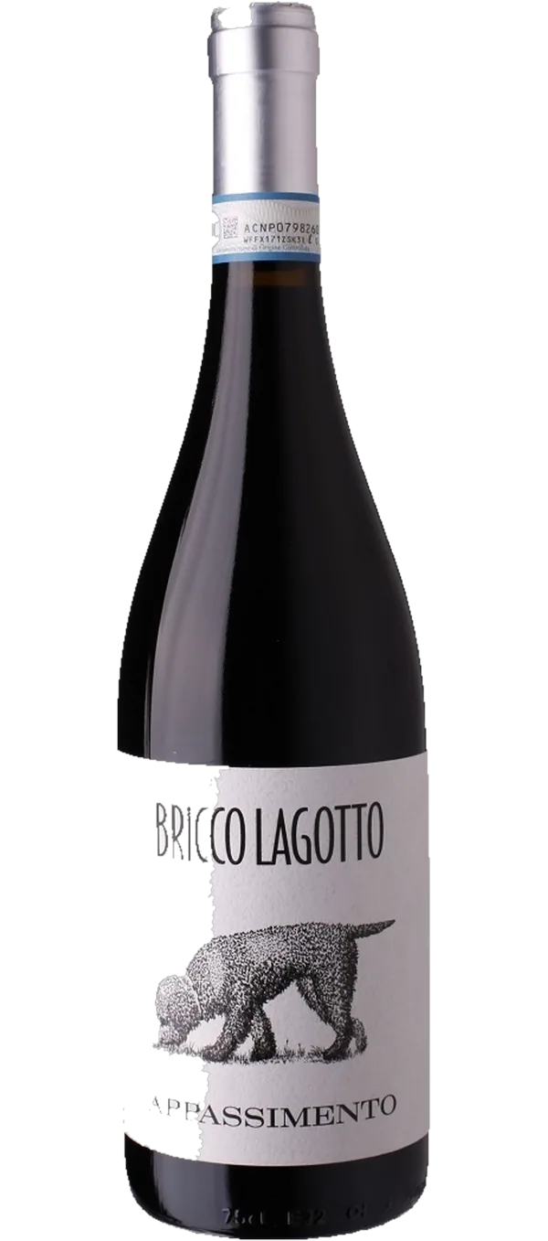 Bricco Lagotto - Barbera Passito DOC