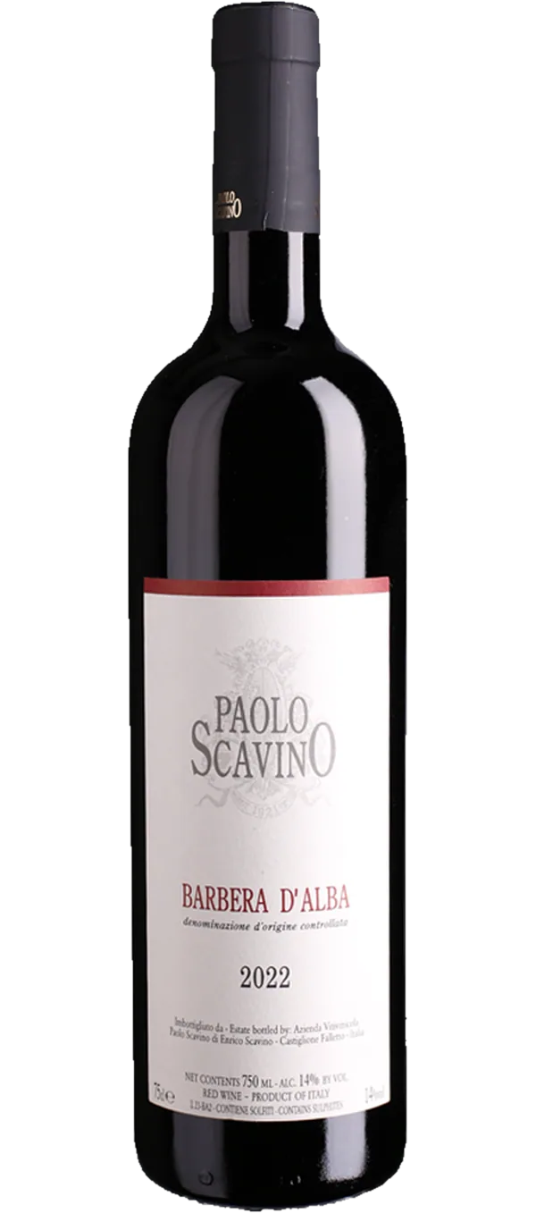Paolo Scavino - Barbera d'Alba DOC