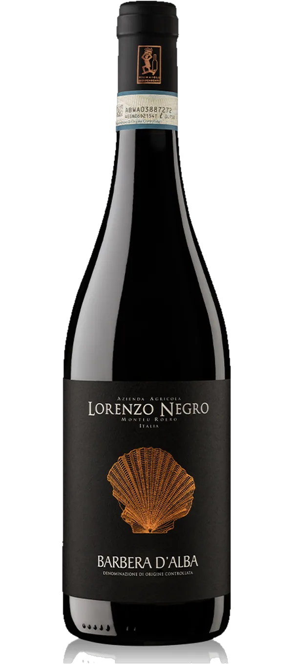 Barbera d'Alba 2021 DOC