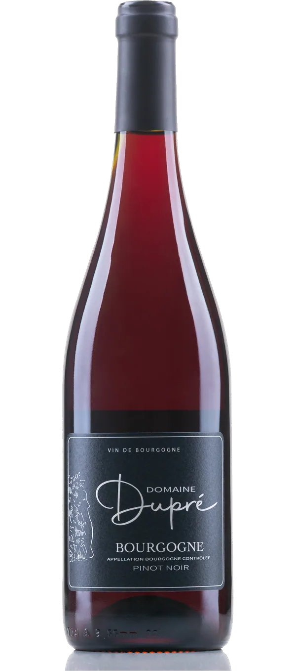 Pinot Noir - Bourgogne 2023 AC