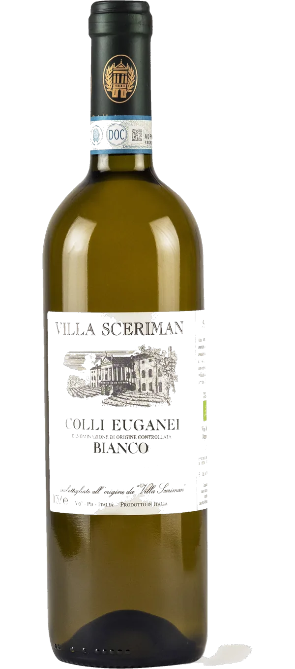 Colli Euganei Bianco DOC 2023