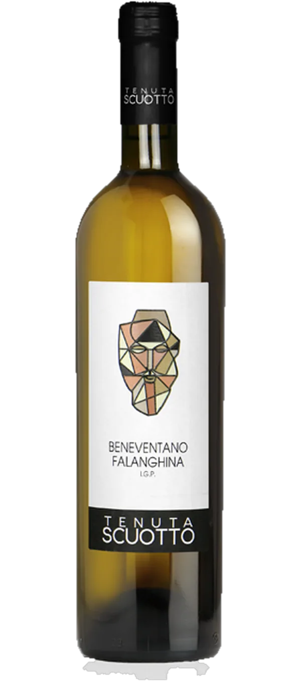 Tenuta Scuotto - Falanghina Campania 2023 IGP