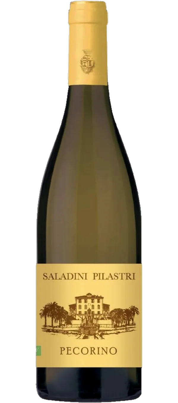 Falerio Vigna Palazzi DOC - Saladini Pilastri