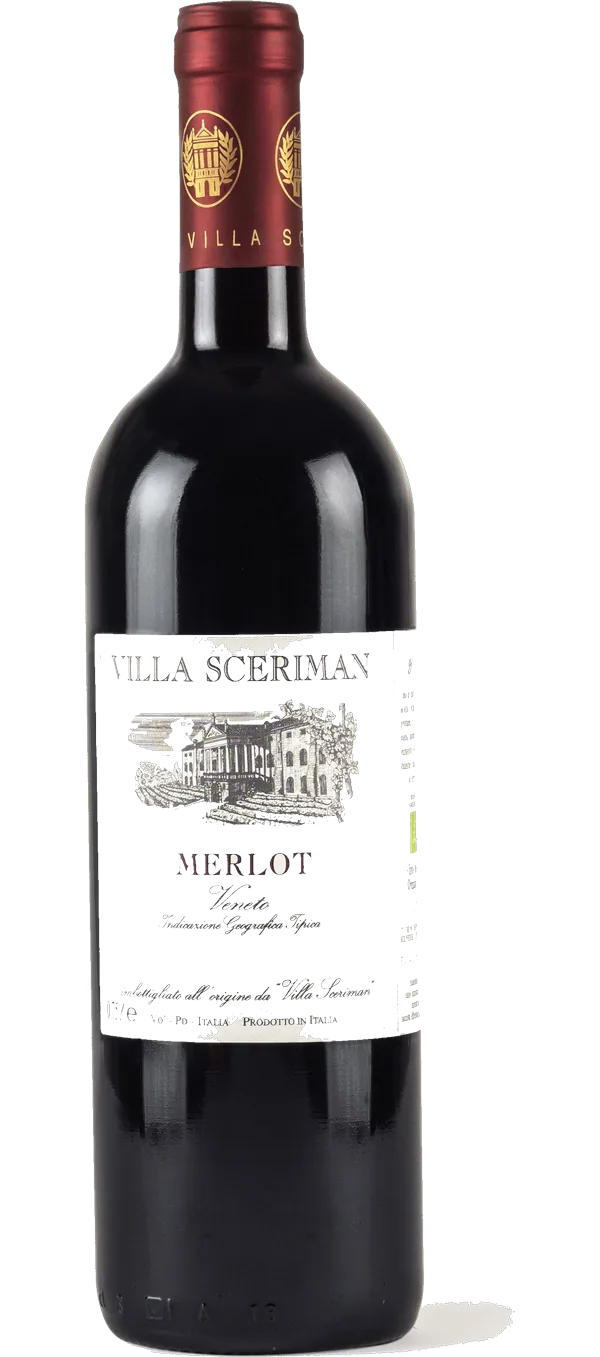 Merlot Veneto 2019-2022 IGT