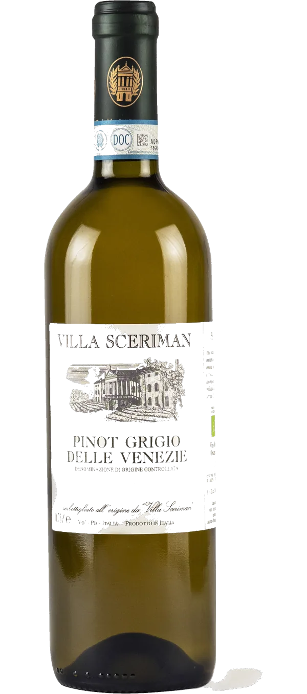 Pinot Grigio Colli Euganei 2023 DOC