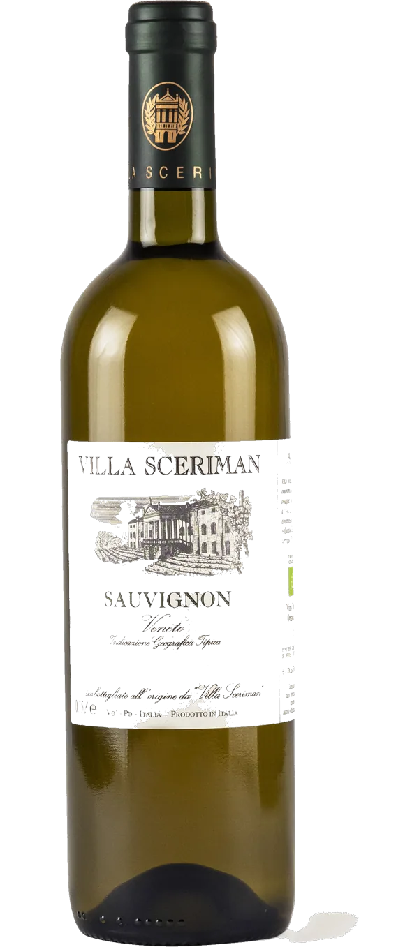 Sauvignon Colli Euganei 2023 IGT