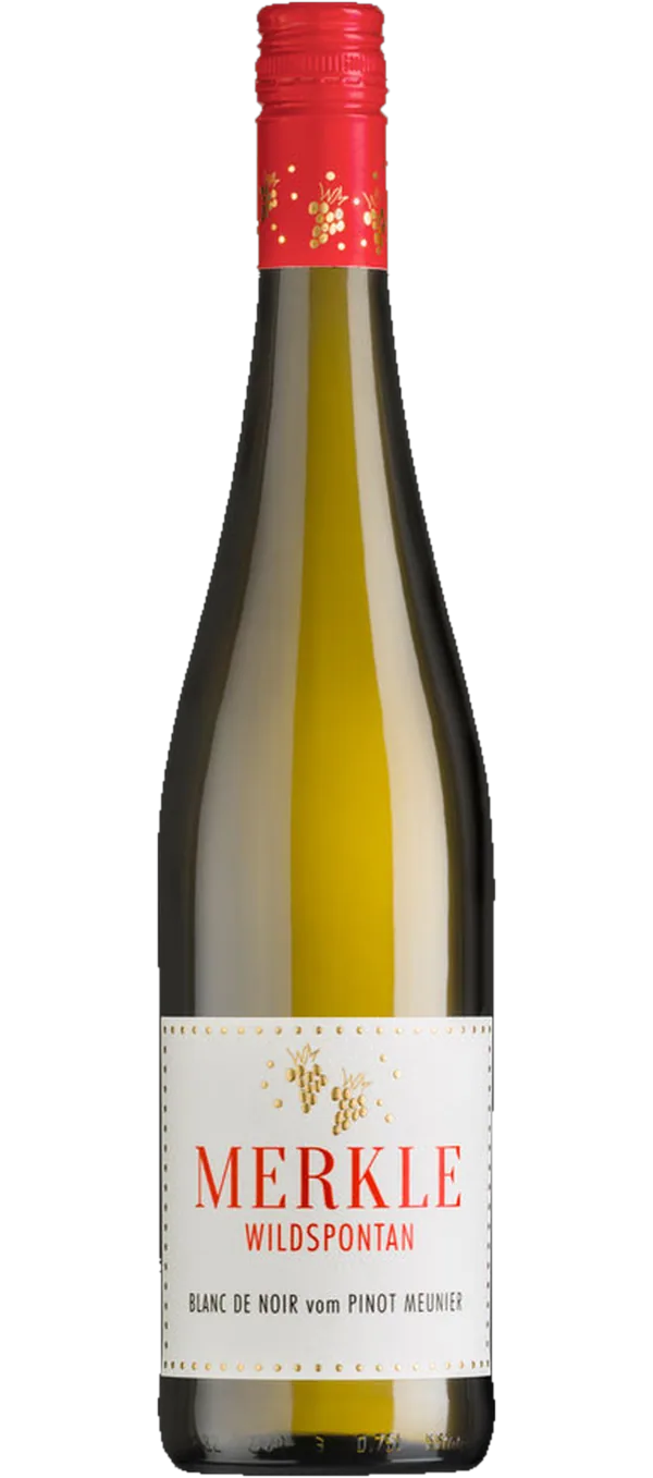 Riesling Steillage 2023, Weingut Merkle