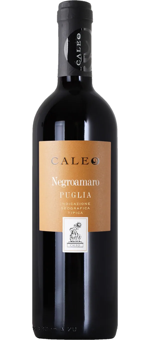 Negroamaro Salento 2022 IGT