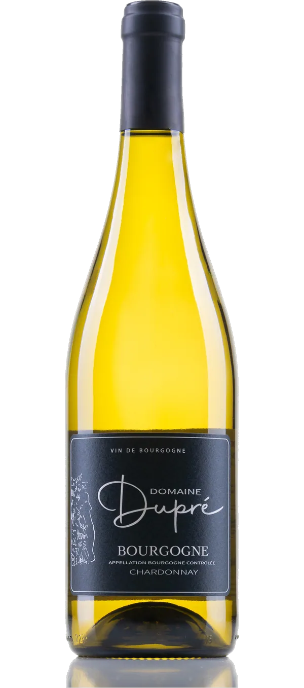 Chardonnay - Bourgogne 2023 AC