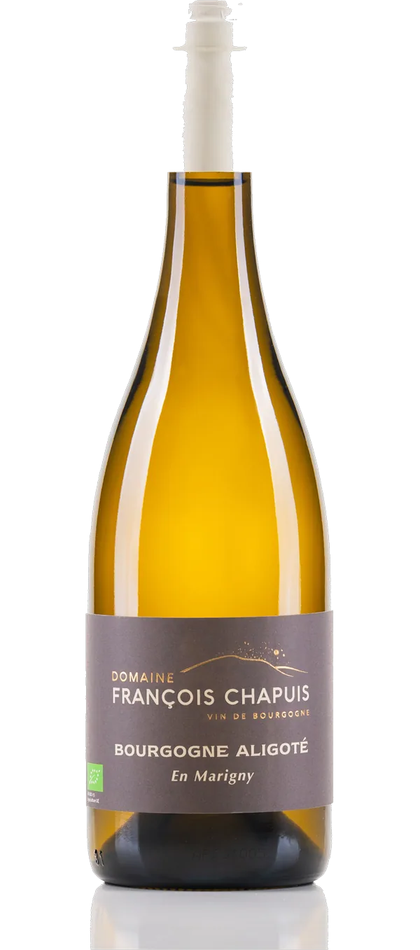Aligoté Bourgogne 2023 AOC