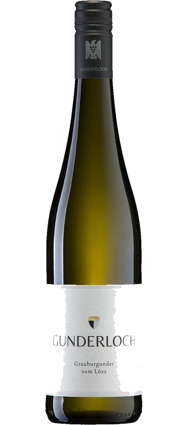 Grauburgunder vom Löss 2024 - Weingut Gunderloch