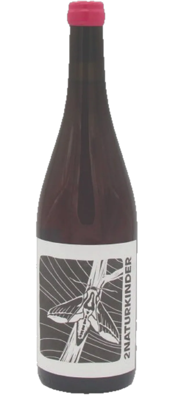 Weinschwärmer [deilephila porcellus] 2021