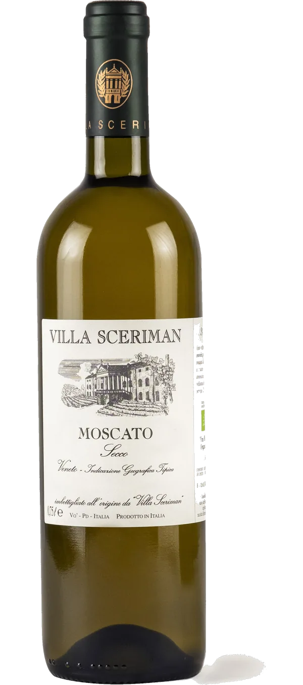 Moscato Secco Veneto 2024