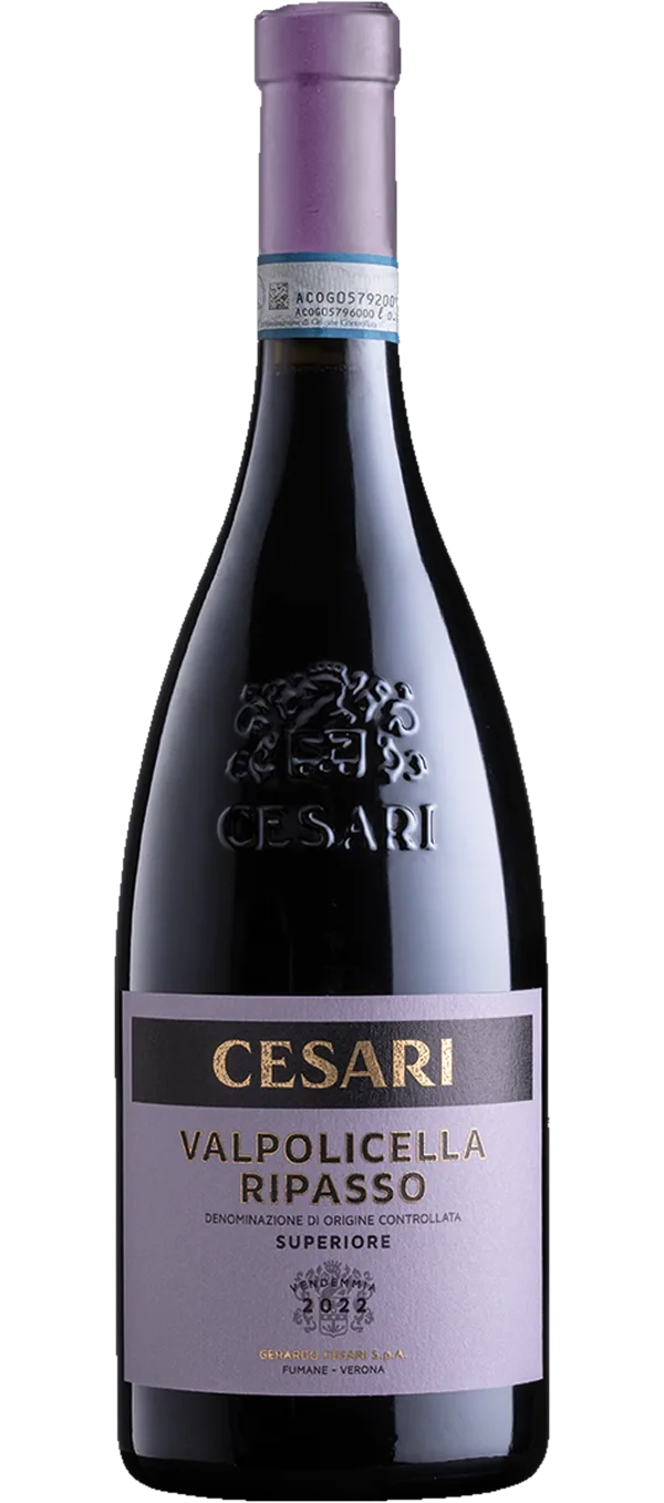 Valpolicella Ripasso DOC Superiore 2021