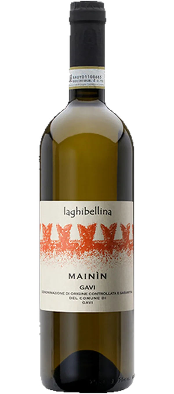 Mainin Gavi del comune di Gavi 2023 - La Ghibellina