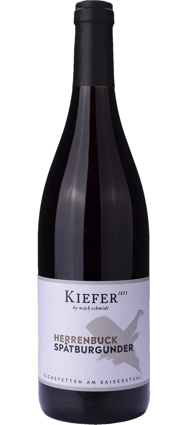 Eichstetter Herrenbuck Spätburgunder 2019 - Weingut Friedrich Kiefer
