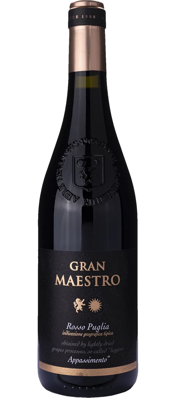 Rosso Appassimento Gran Maestro 2021 - Cielo e Terra