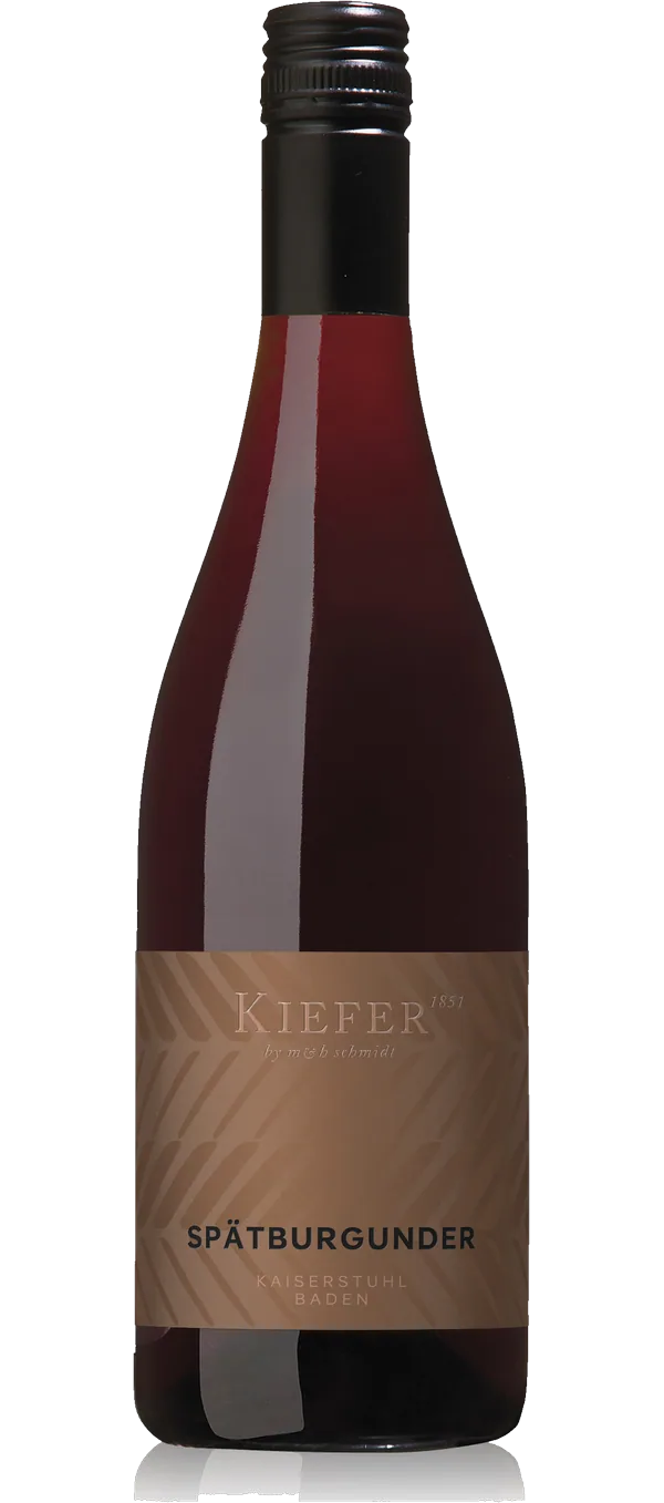 Spätburgunder Feinherb 2022 - Weingut Friedrich Kiefer