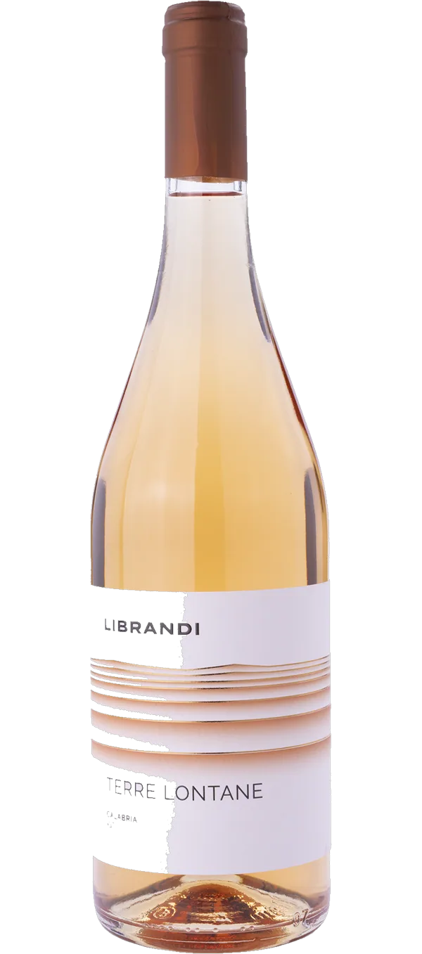Terre Lontane Rosato 2024- Librandi