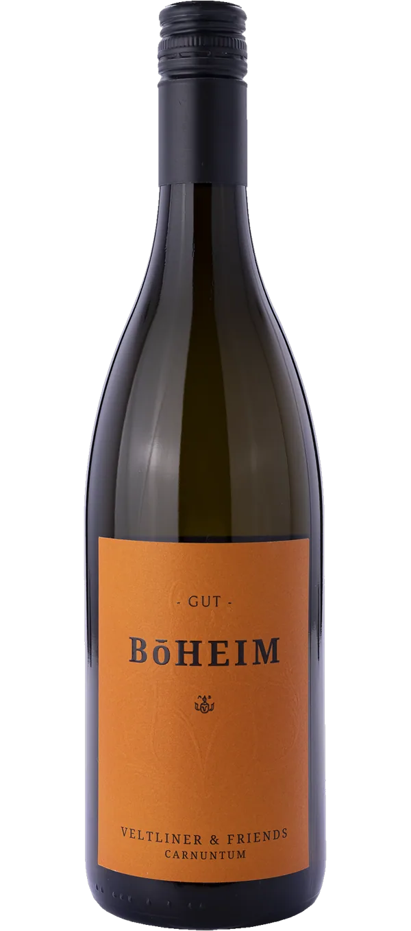 Veltliner & Friends - Weingut Böheim