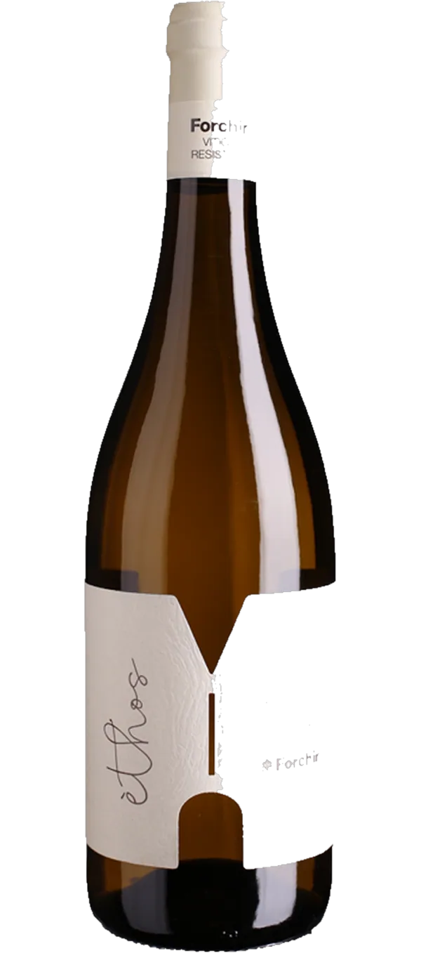 Forchir - Èthos Bianco