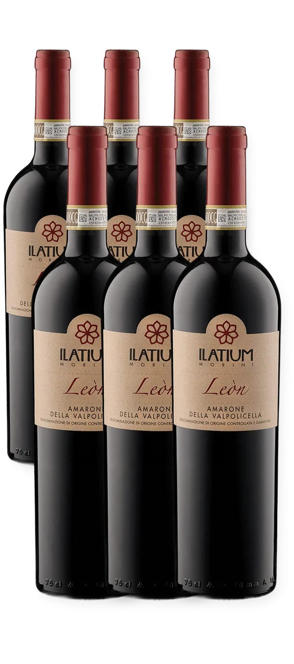 ILatium Morini - Amarone della Valpolicella Leòn DOCG - 6er-Paket