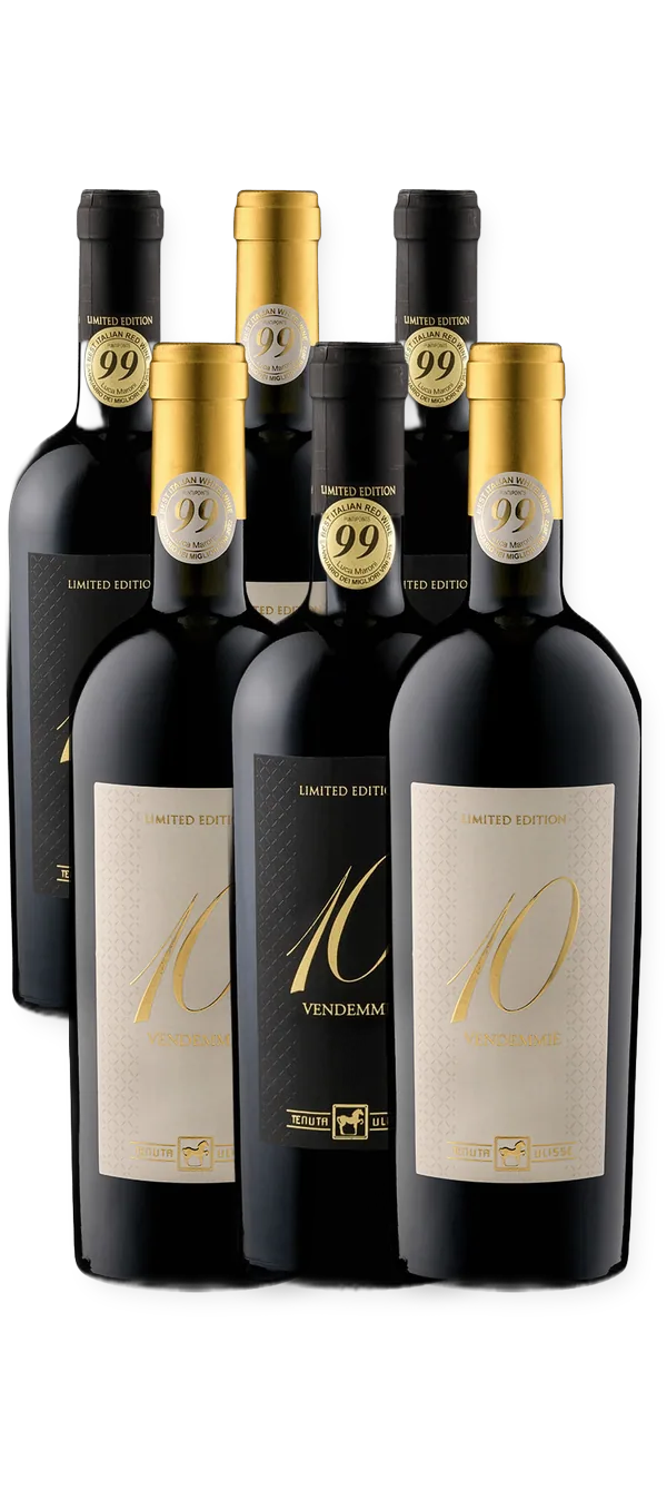 Tenuta Ulisse - DIECI VENDEMMIE Bianco und Montepulciano d'Abruzzo - 6er-Paket