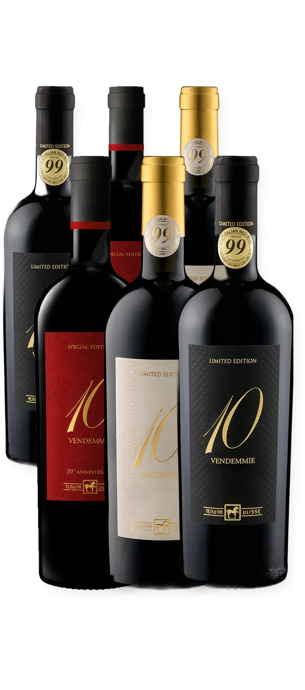 Tenuta Ulisse - DIECI VENDEMMIE Special Edition, Bianco und Montepulciano d'Abruzzo - 6er-Paket