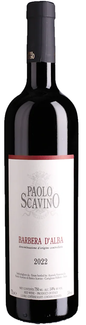 Paolo Scavino - Barbera d'Alba DOC