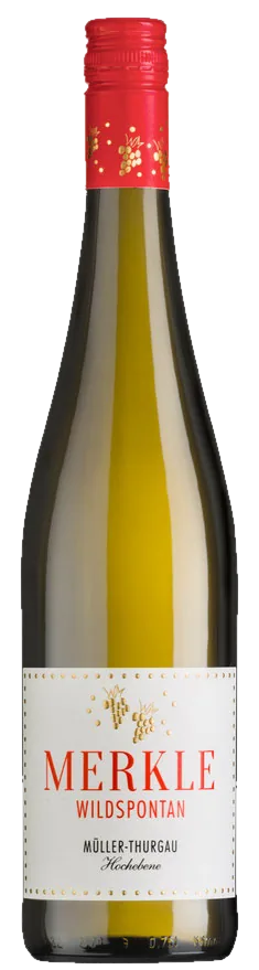 Müller Thurgau Hochebene 2023, Weingut Merkle