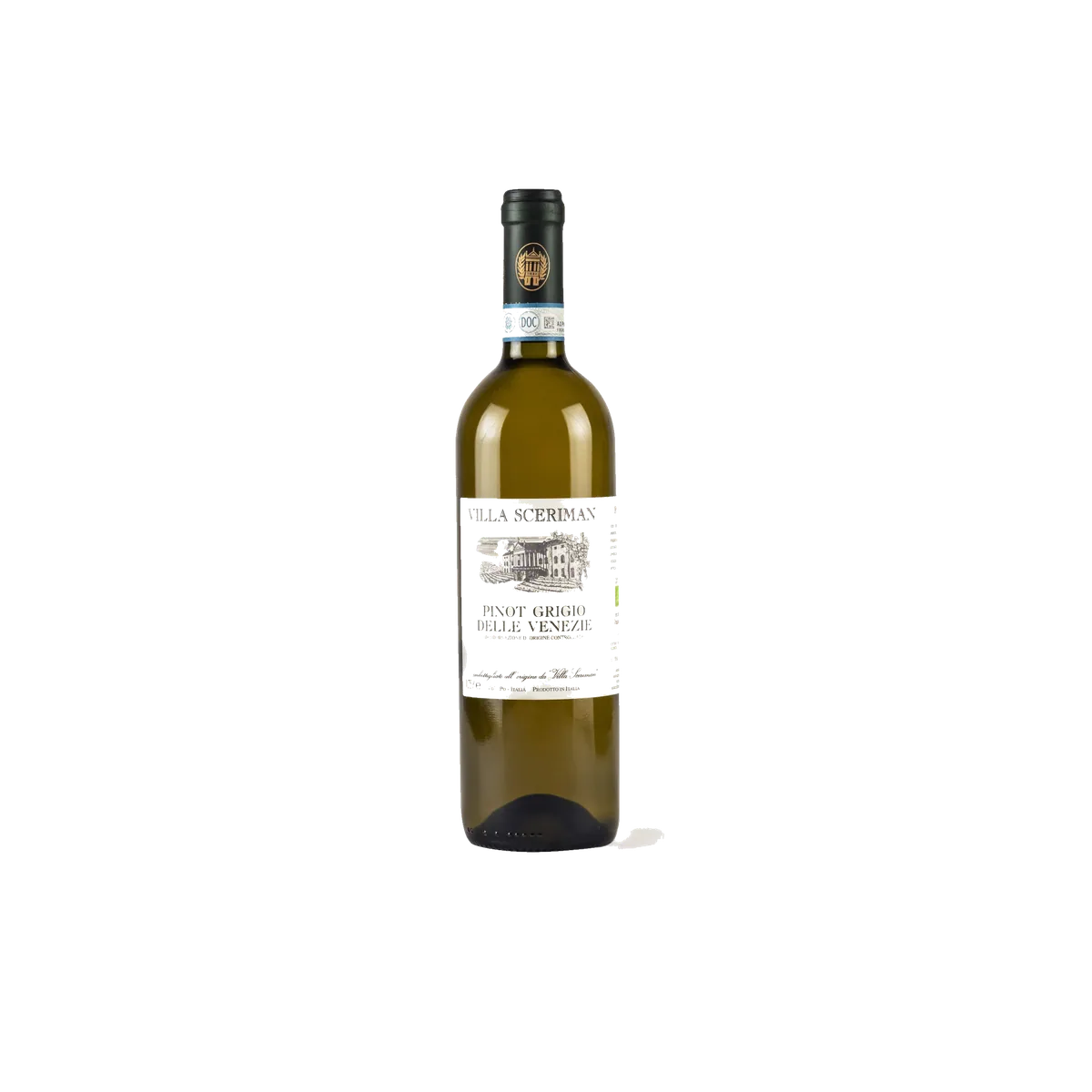 Pinot Grigio Colli Euganei 2023 DOC
