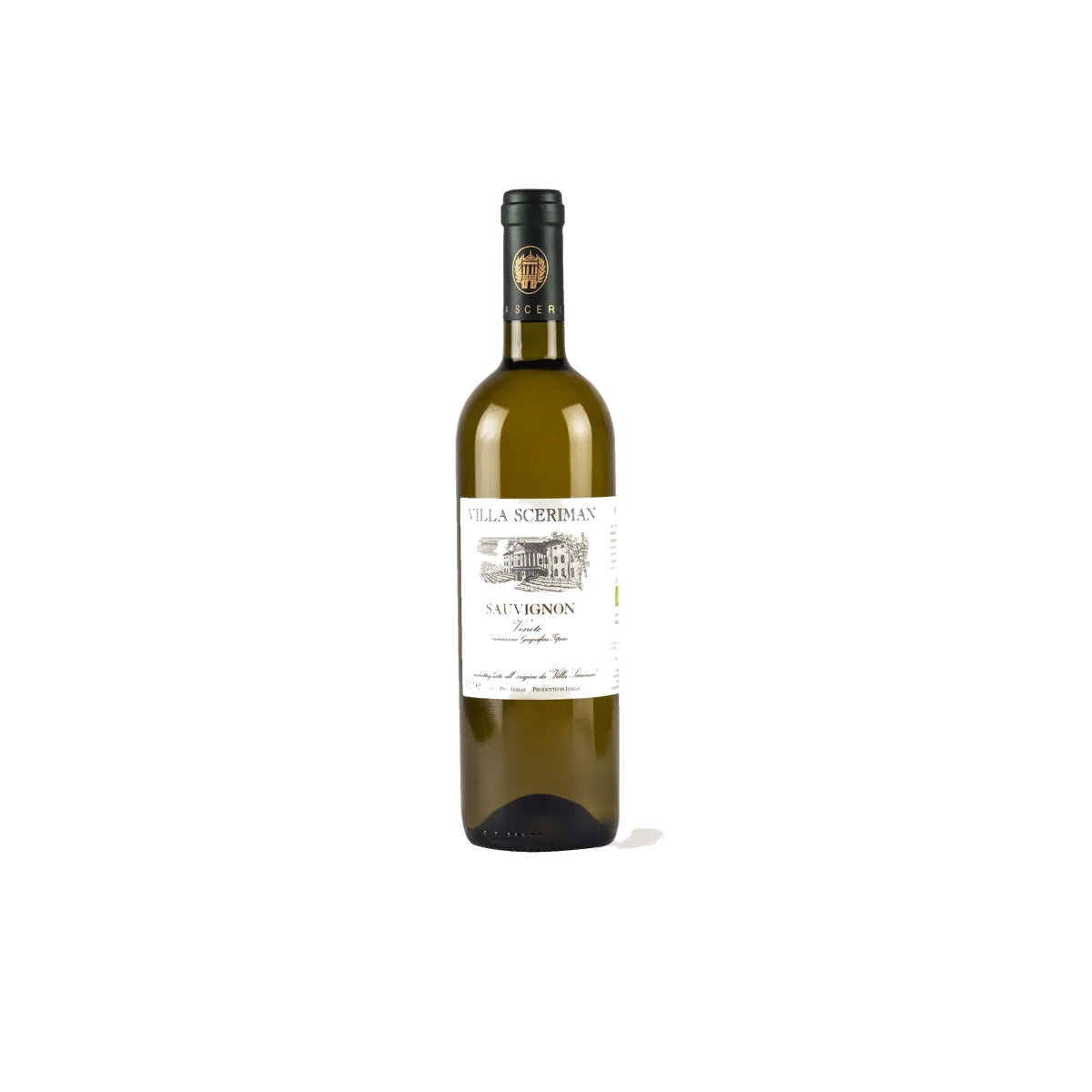 Sauvignon Colli Euganei 2023 IGT