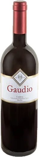 Merlot Barrique Umbria Gaudio 2016 IGT