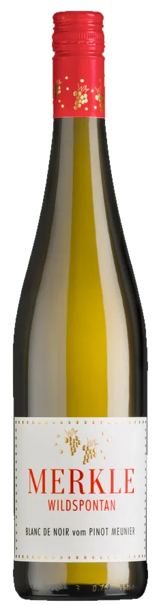 Riesling Steillage 2023, Weingut Merkle