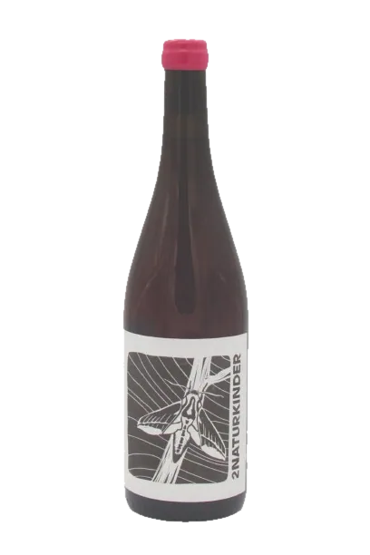 Weinschwärmer [deilephila porcellus] 2021