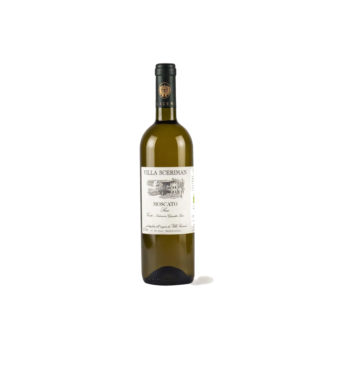 Moscato Secco Veneto 2024