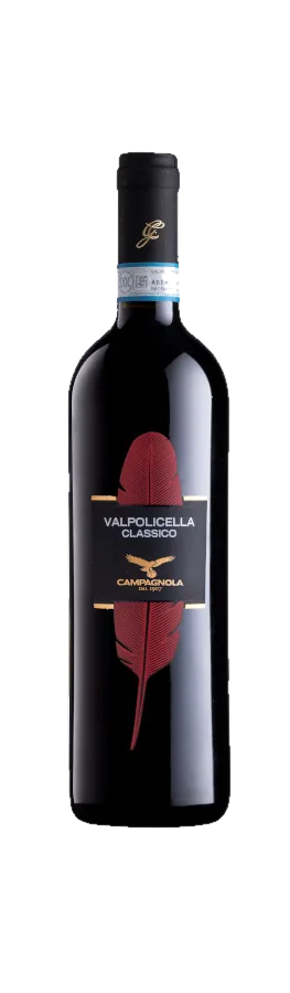 Valpolicella Classico 2022 - Campagnola