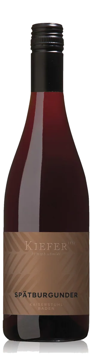 Spätburgunder Feinherb 2022 - Weingut Friedrich Kiefer