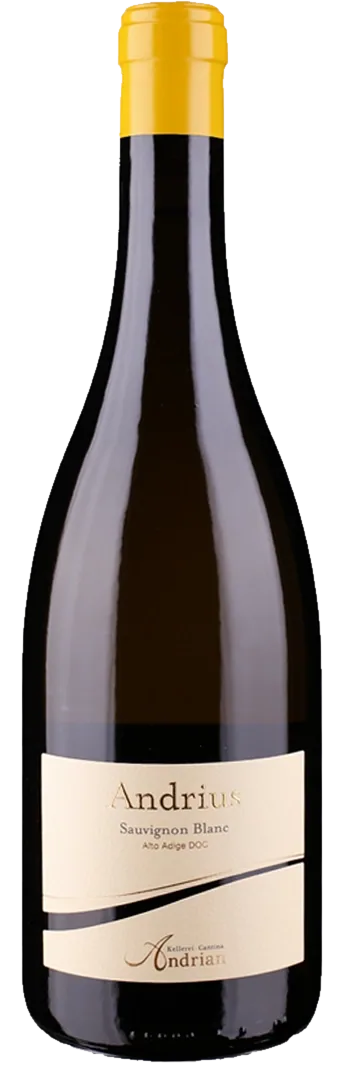 Kellerei Andrian - Sauvignon DOC Andrius