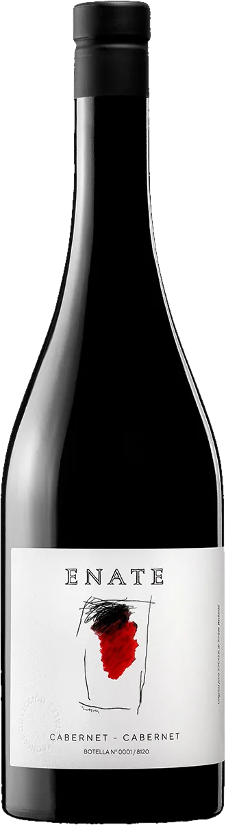 Enate Cabernet-Cabernet DO