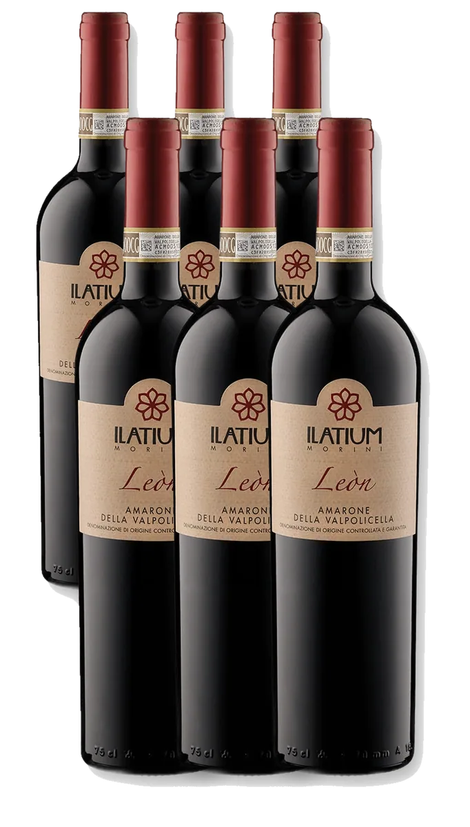 ILatium Morini - Amarone della Valpolicella Leòn DOCG - 6er-Paket