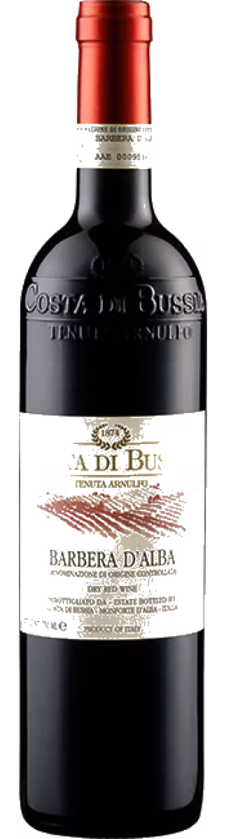 Costa Di Bussia - Barbera D' Alba Doc