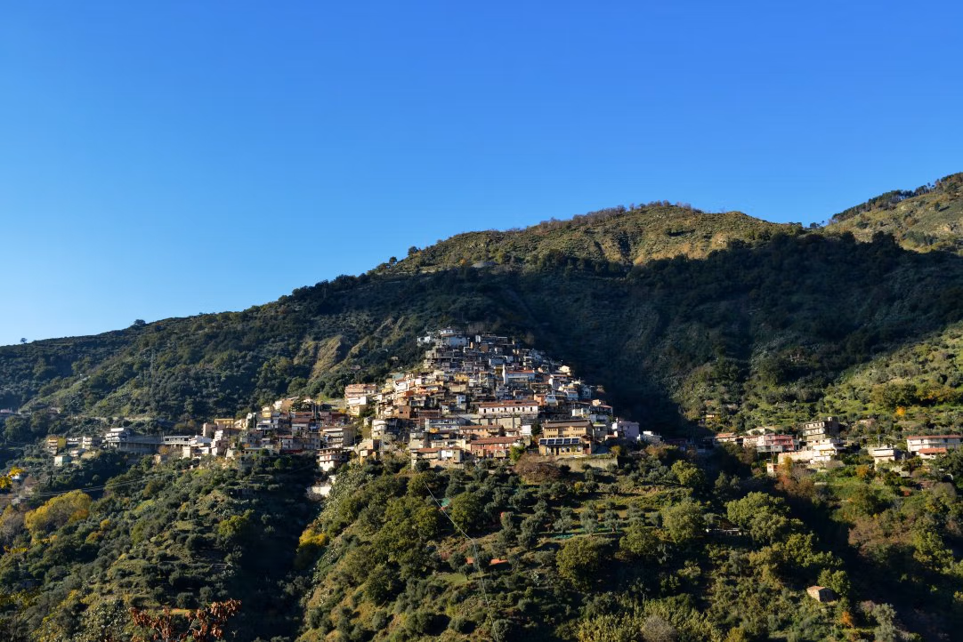 Cardeto