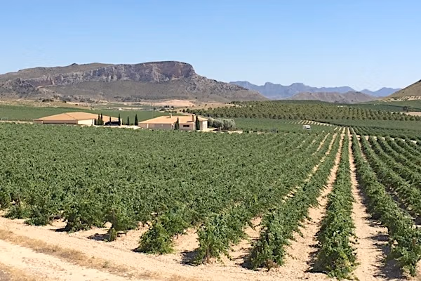 Jumilla