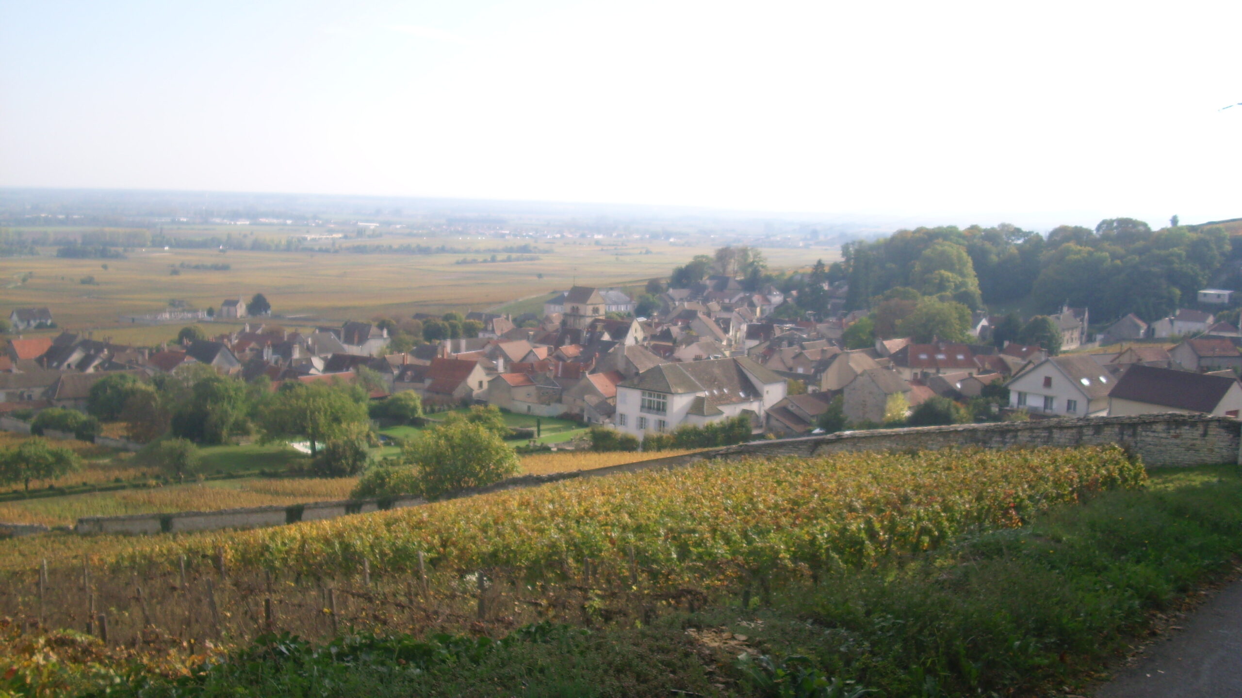 Weinberge in Volnay