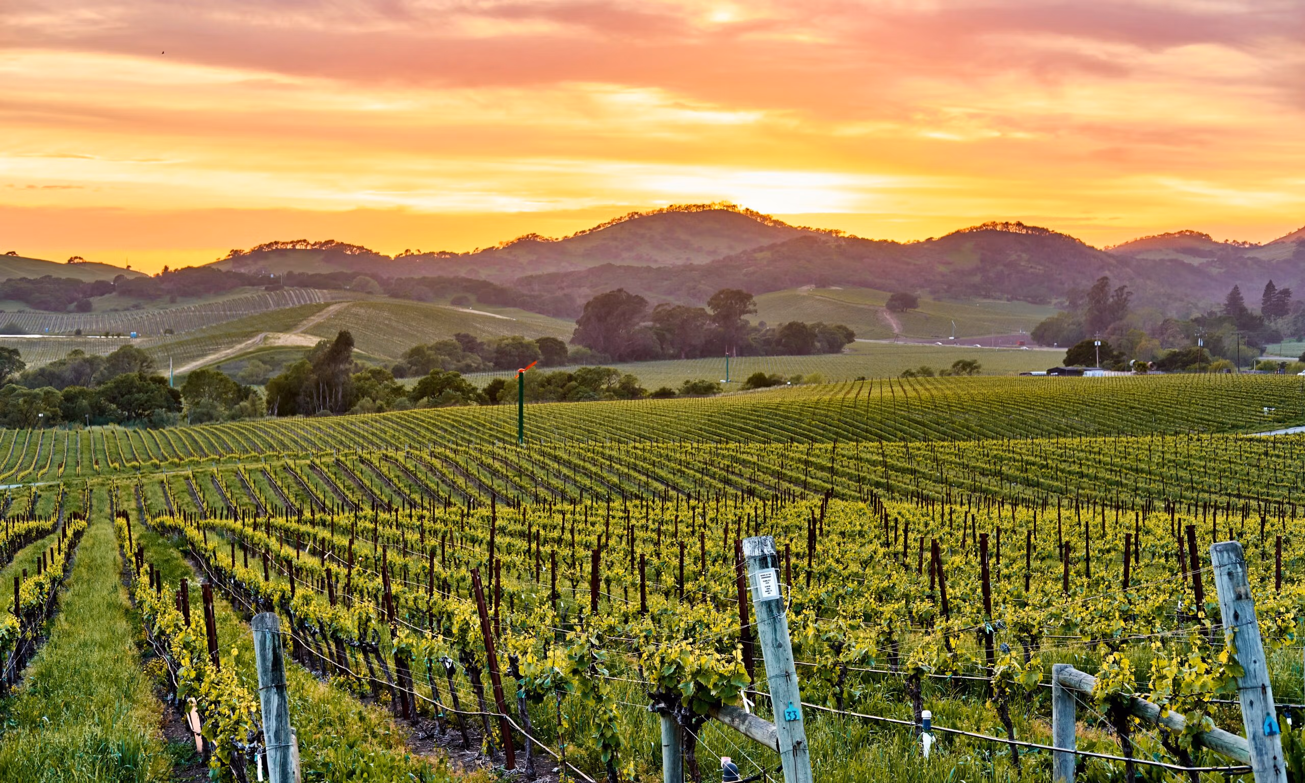 Napa Valley